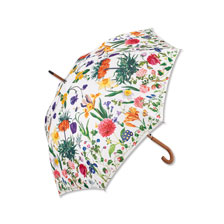 Regenschirm mit bunten Blumen