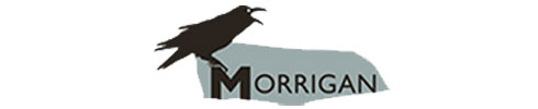 Morrigan Ltd.