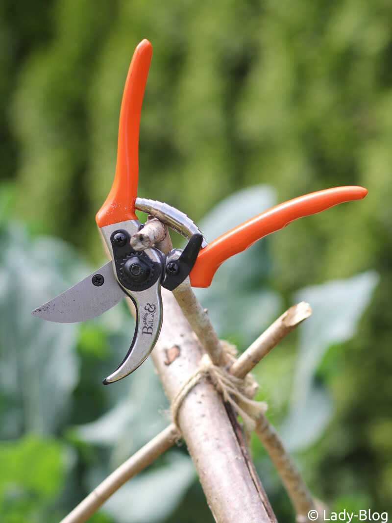 Produktbild zu Gartenschere mit Klingen aus Carbon-Edelstahl