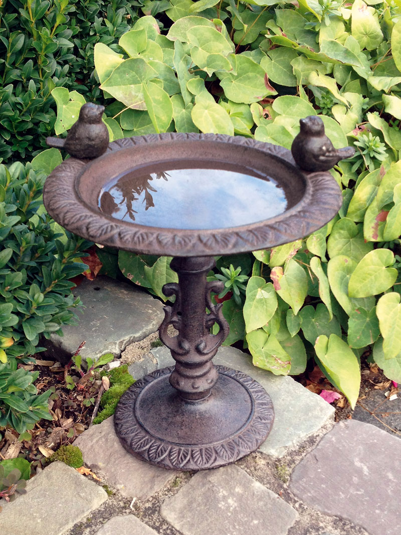 Produktbild zu Vogeltr�nke mit zwei V�geln