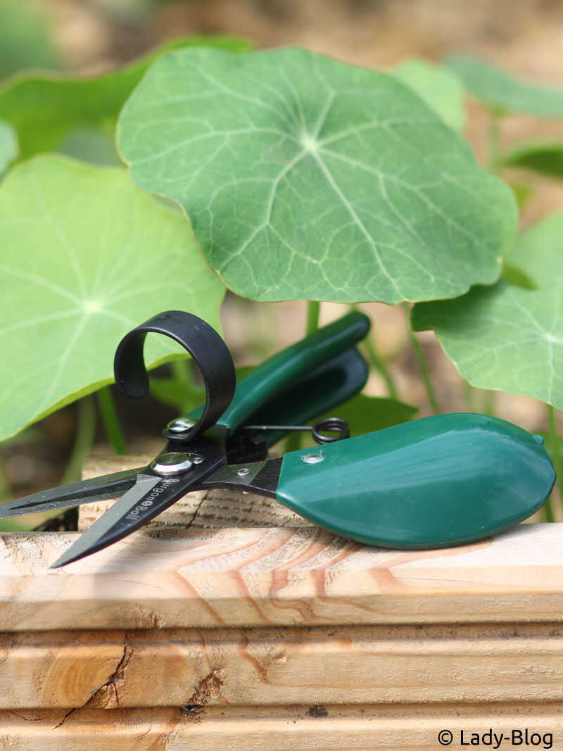 Alternatives Bild 3 zu Ergonomische Gartenschere