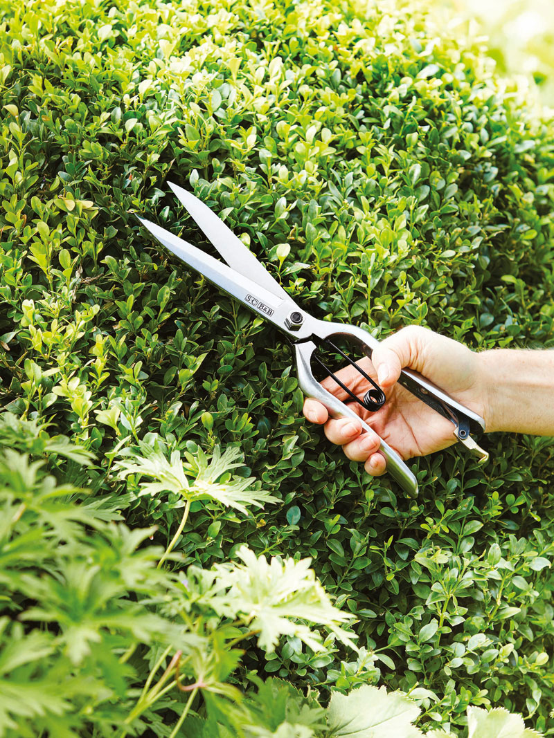 Produktbild zu Gartenschere aus Edelstahl f�r Hecken