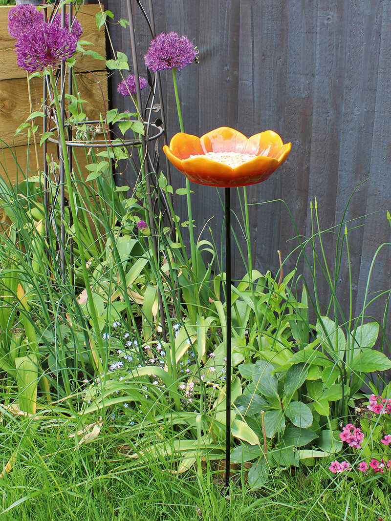 Futterstation Poppy