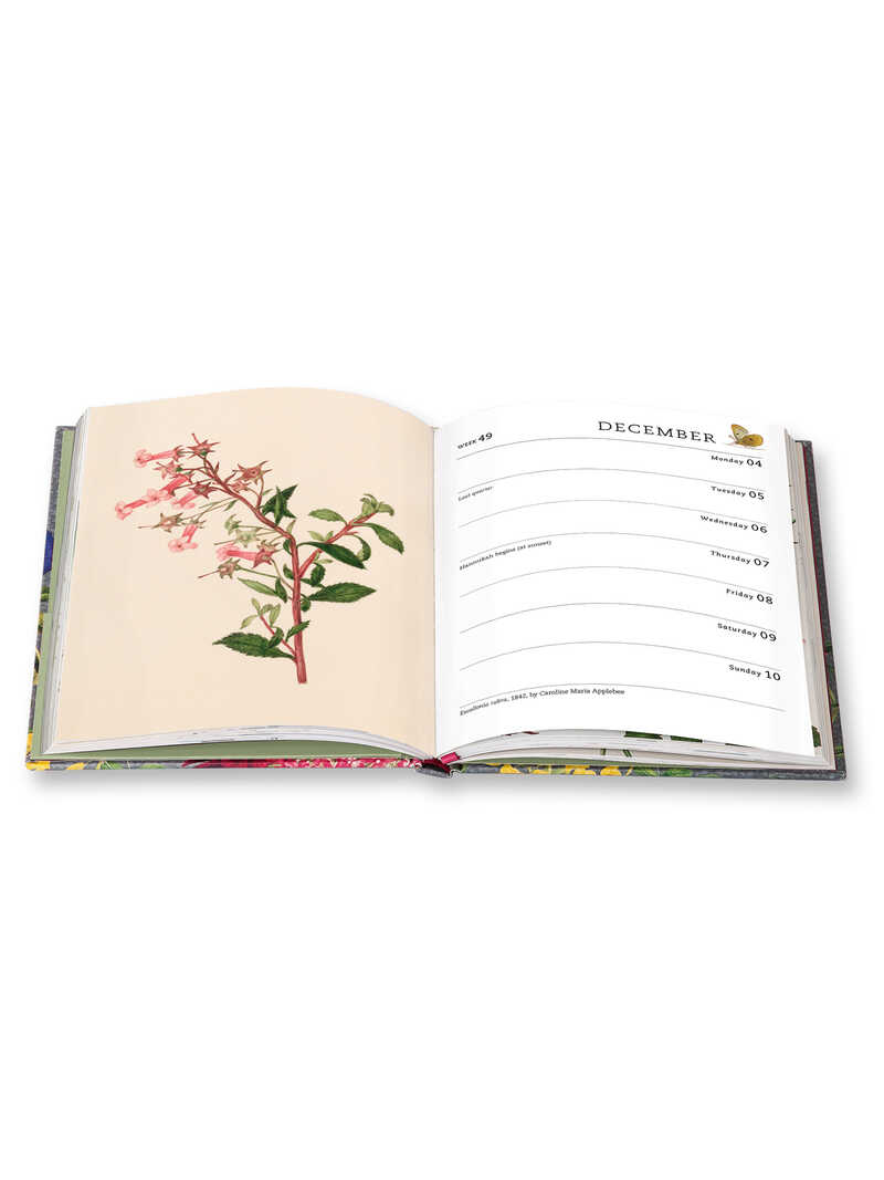 Diary 2023