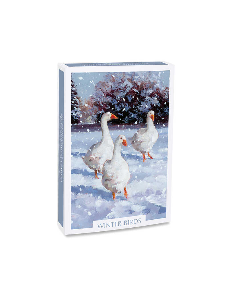 Weihnachtskarten 'Winter Birds'