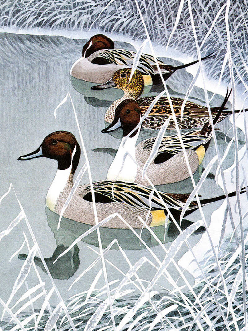 Weihnachtskarten 'Winter Birds'