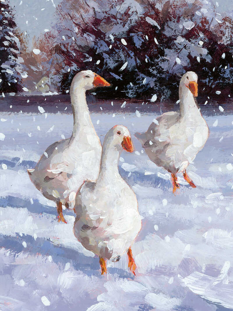 Weihnachtskarten 'Winter Birds'