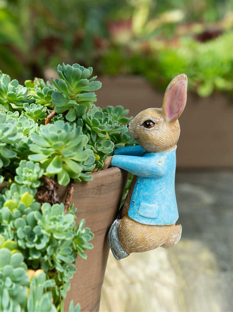 Topfanhnger Beatrix Potter Peter Rabbit