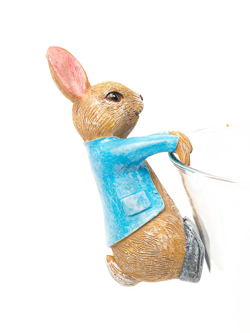 Topfanhnger Beatrix Potter Peter Rabbit