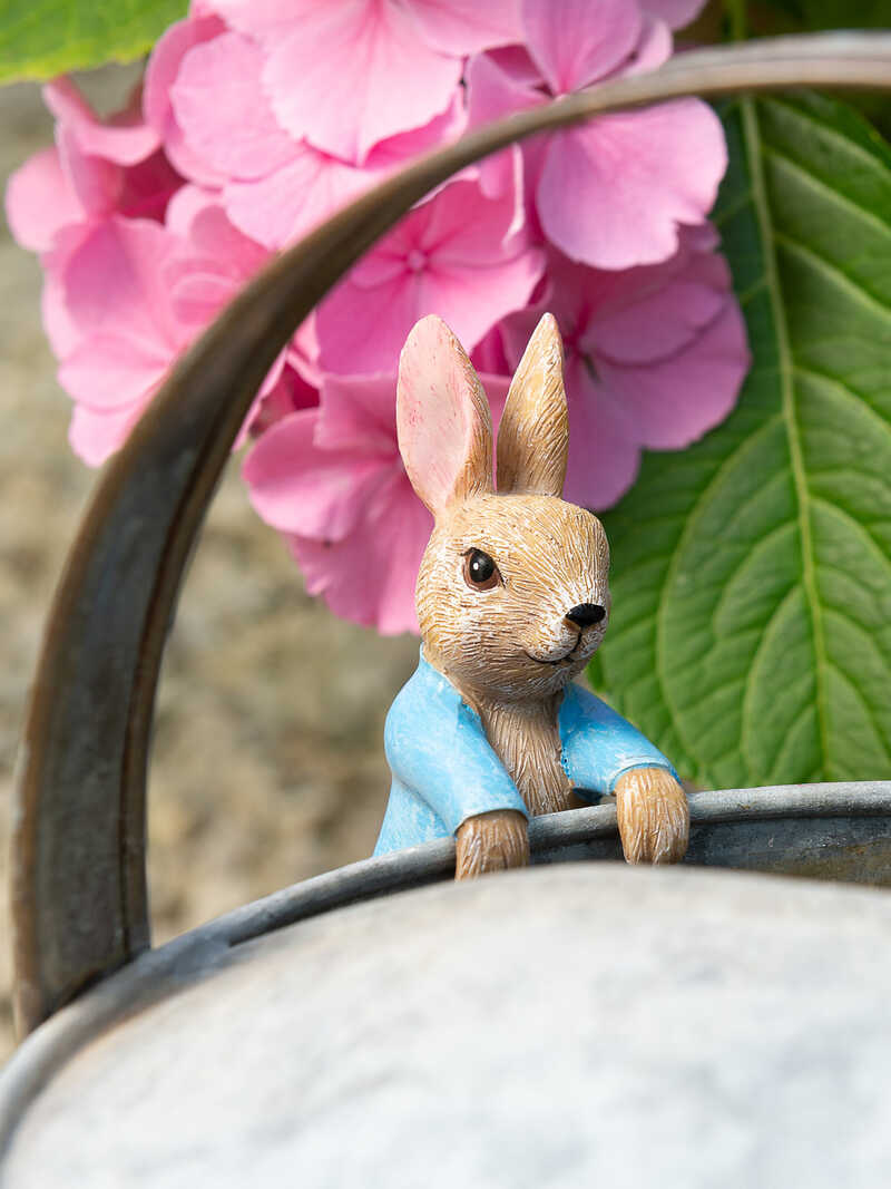 Topfanhnger Beatrix Potter Peter Rabbit