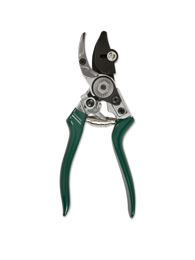 Rosenschere Rose Pruner