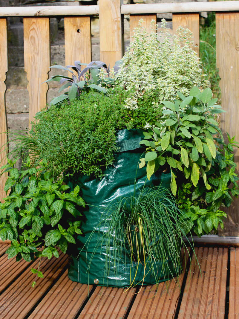 Produktbild zu Pflanzsack fr Kruter 40 l Gre 45 x 35 cm