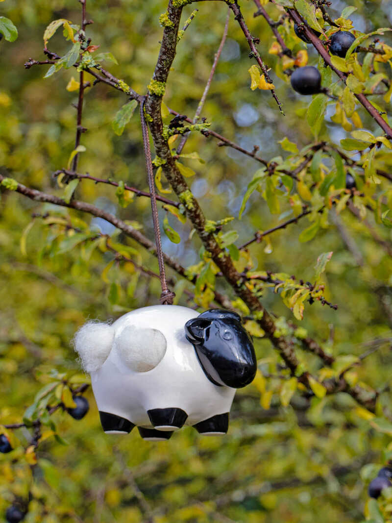 Produktbild zu Nestbauhilfe Schaf Woolie