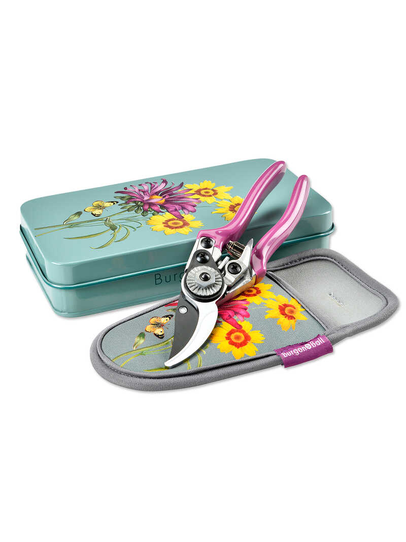 Gartenschere Sommeraster mit Holster