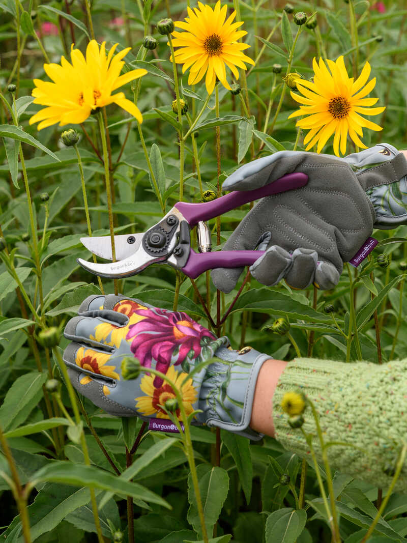 Gartenschere Sommeraster mit Holster