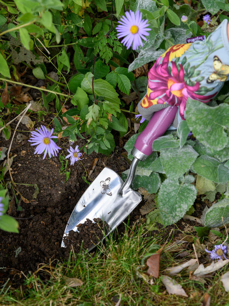 Garten-Geschenkset Schaufel & Gabel Sommeraster