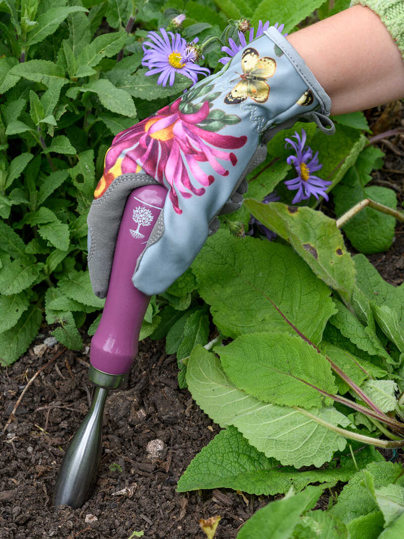 Pflanzschaufel & Pikierstab Sommeraster