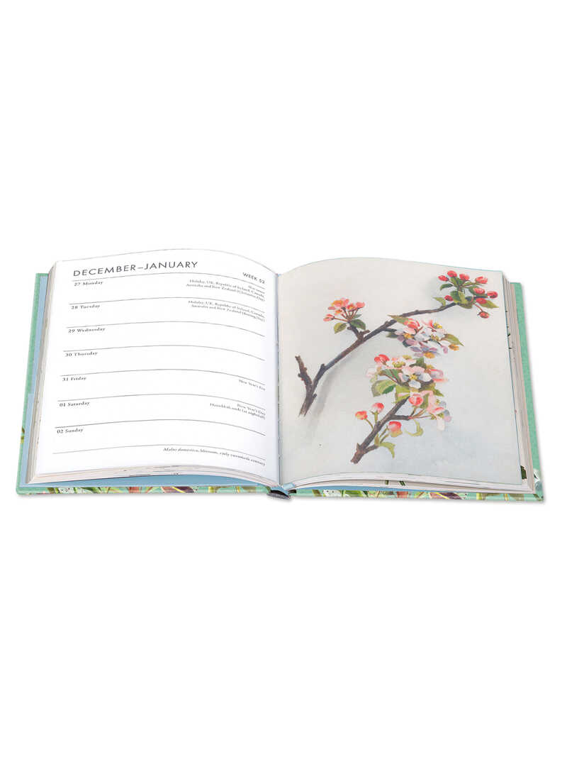 Alternatives Bild 1 zu RHS Diary 2027 Wochenkalender