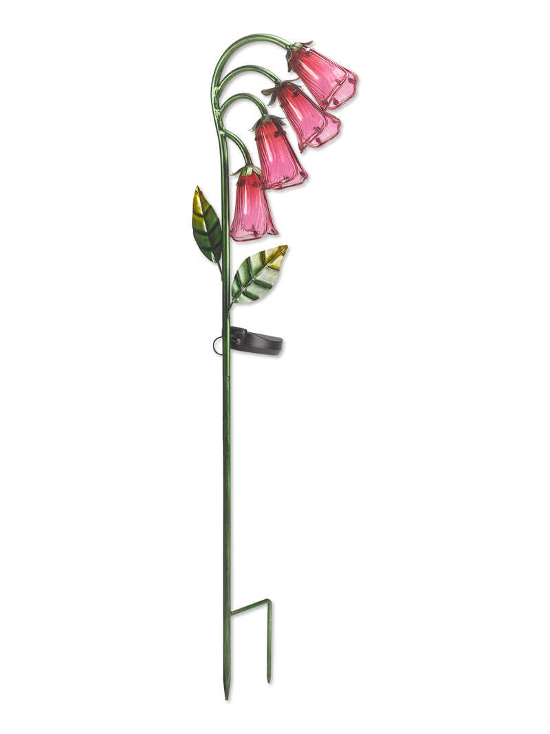 Solarblume Fingerhut