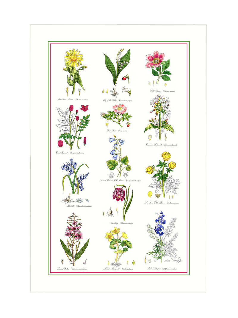 Produktbild zu K�chentuch mit botanischen Illustrationen im Vintage Style