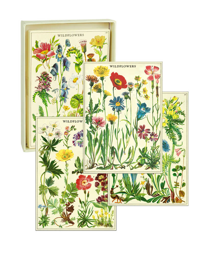 Produktbild zu Briefkarten-Set Wildflowers