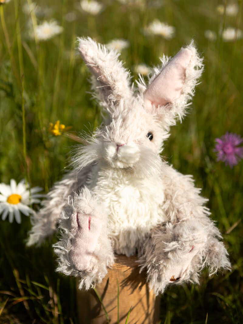 Hase Rowan von Hannah Dale
