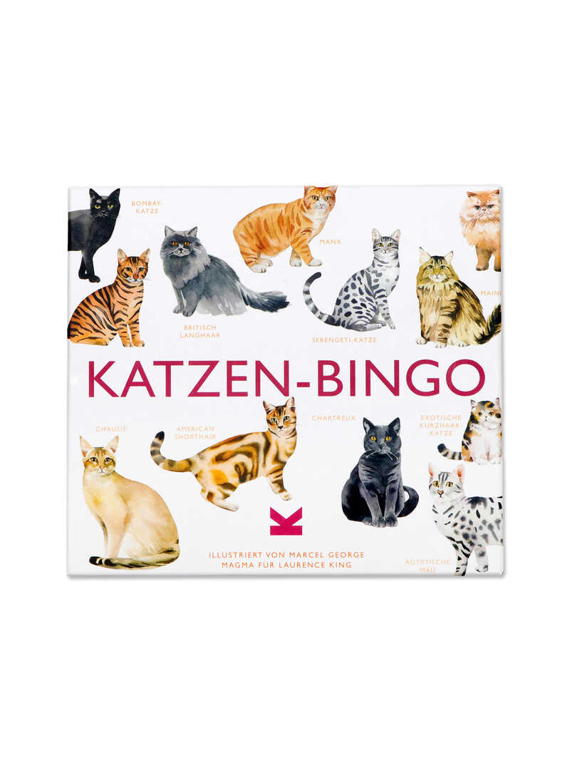 Katzen Bingo