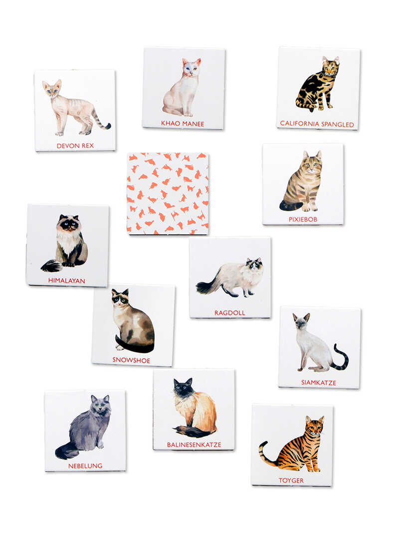Katzen Bingo