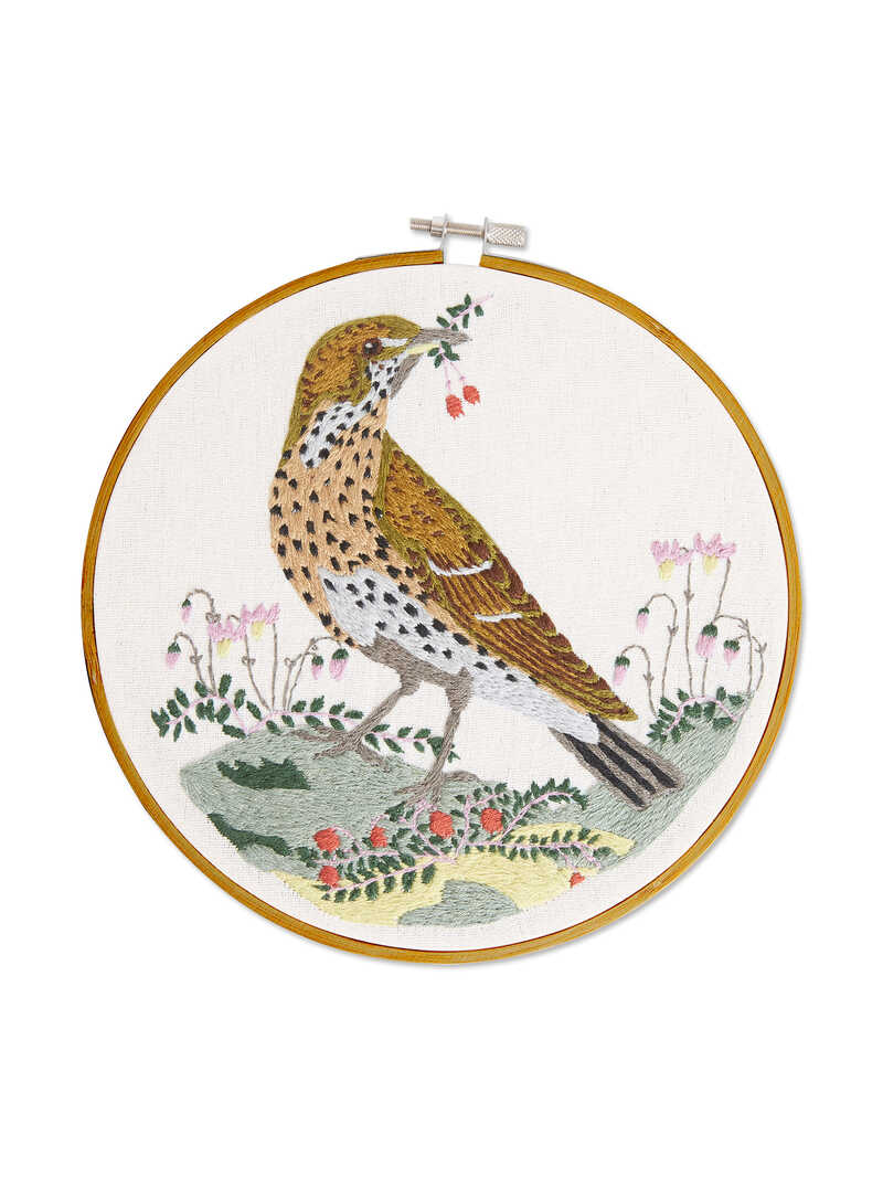 Alternatives Bild 2 zu Stickset Singdrossel