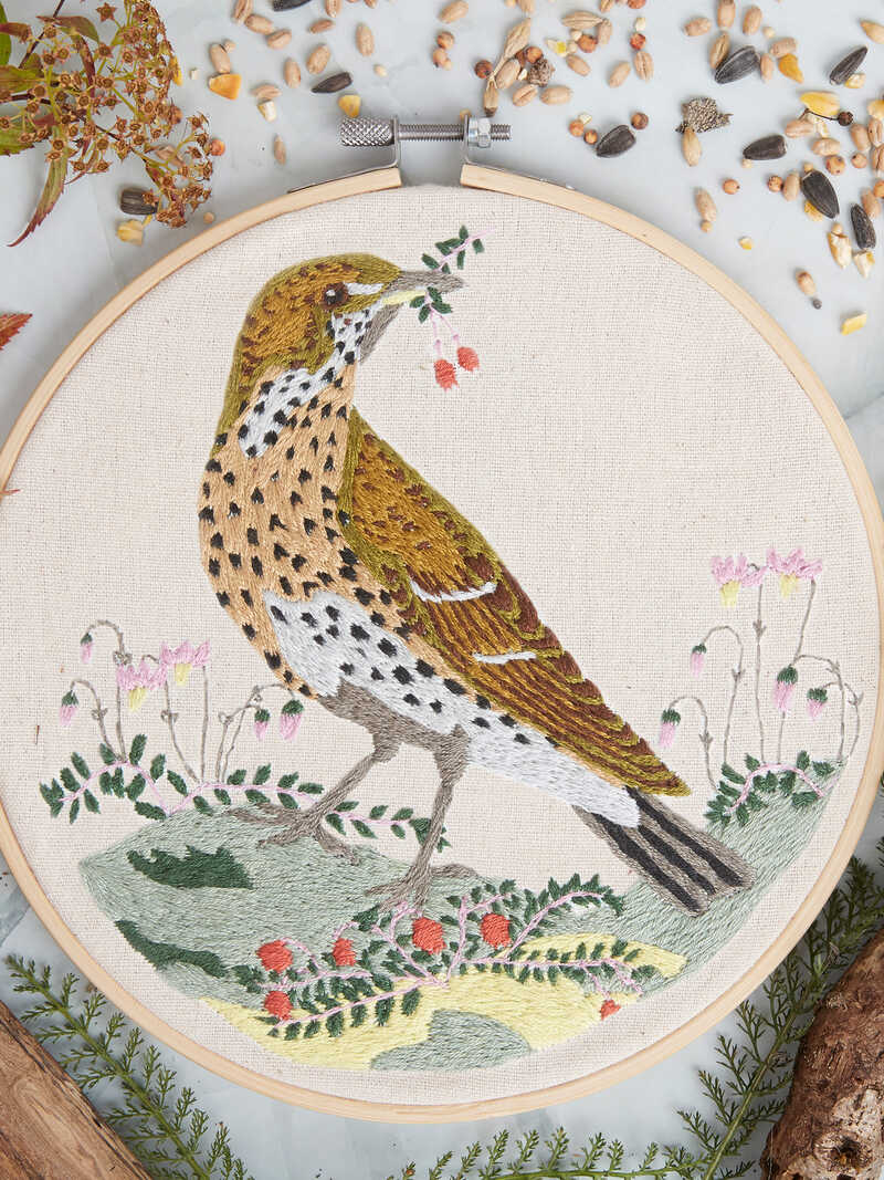 Alternatives Bild 3 zu Stickset Singdrossel