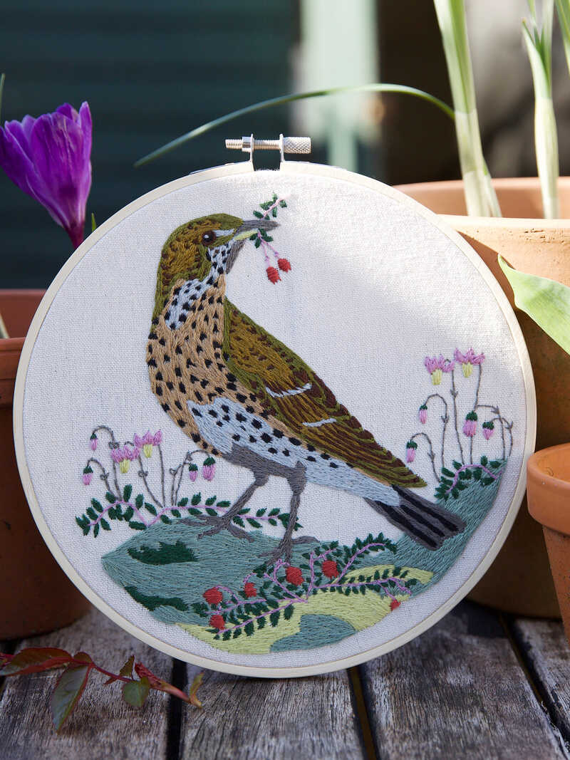 Alternatives Bild 4 zu Stickset Singdrossel