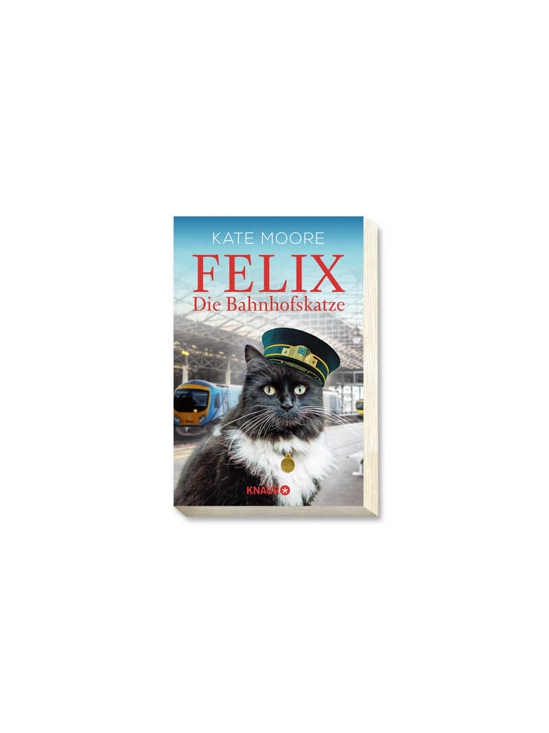 Taschenbuch Felix - Die Bahnhofskatze