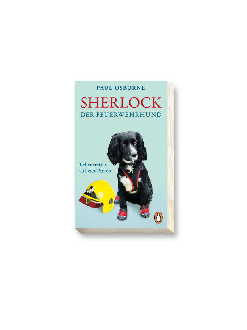 Taschenbuch Sherlock Der Feuerwehrhund