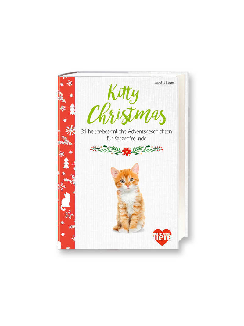 Weihnachtsbuch Kitty Christmas