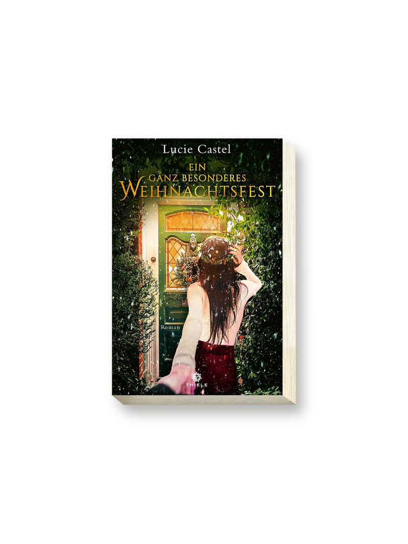 Ein ganz besonderes Weihnachtsfest von Lucie Castel