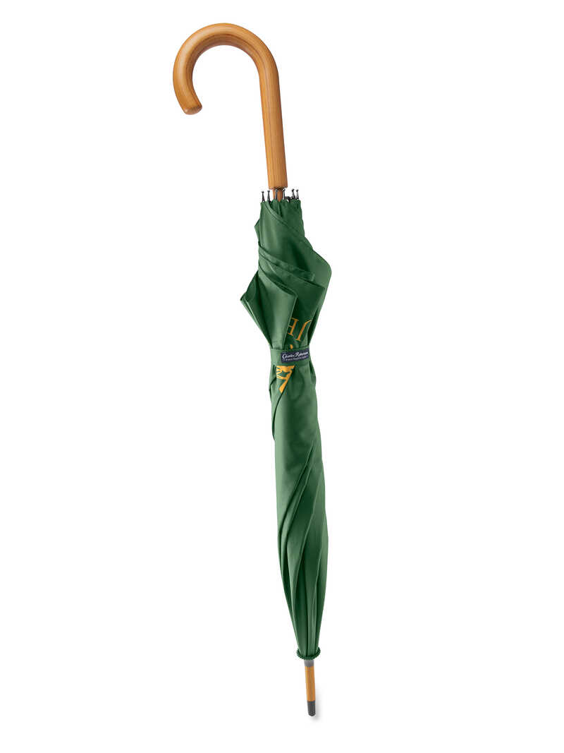 Alternatives Bild 1 zu Regenschirm in British Racing Green