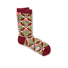 Aktuelle Variante multicolor