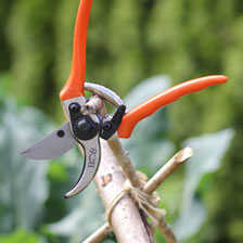Thumbnail zu Gartenschere mit Klingen aus Carbon-Edelstahl