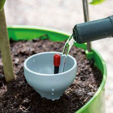 Gartenset zur Selbstbewsserung von Pflanzen