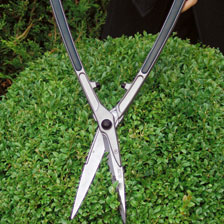 Thumbnail zu Heckenschere f�r Formschnitt