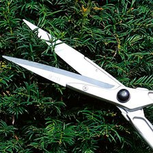 Alernatives Thumbnail 2 zu Heckenschere f�r Formschnitt