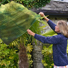 Groe grne Pflanzenschutzhauben aus Fleece
