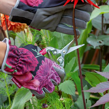 Graue Gartenhandschuhe mit Blumen