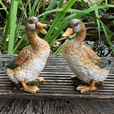 Dekofiguren Enten-Paar