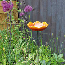 Futterstation Poppy