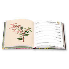 Diary 2023