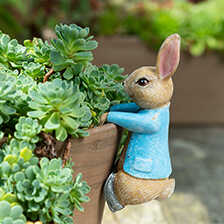 Topfanhnger Beatrix Potter Peter Rabbit