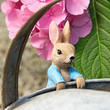 Topfanhnger Beatrix Potter Peter Rabbit