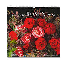 Wand-Kalender Geliebte Rosen 2024