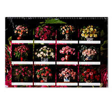 Wand-Kalender Geliebte Rosen 2024